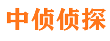 肃北调查公司